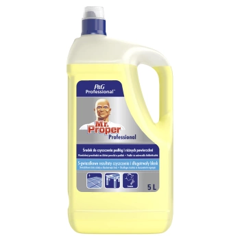 MR PROPER PROFESSIONAL ALL PURPOSE CLEANER OCEAN